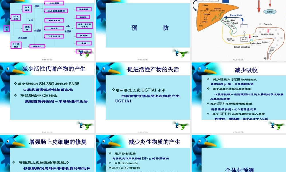 伊立替康腹泻的处理---改.pptx