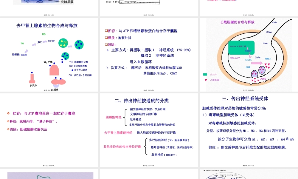传出神经系统药理概论.pptx