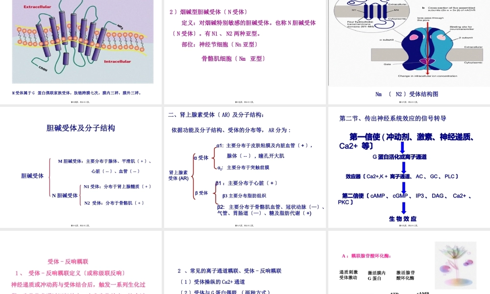传出神经系统药理概论.pptx