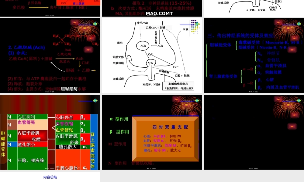 传出神经系统药理概论.ppt
