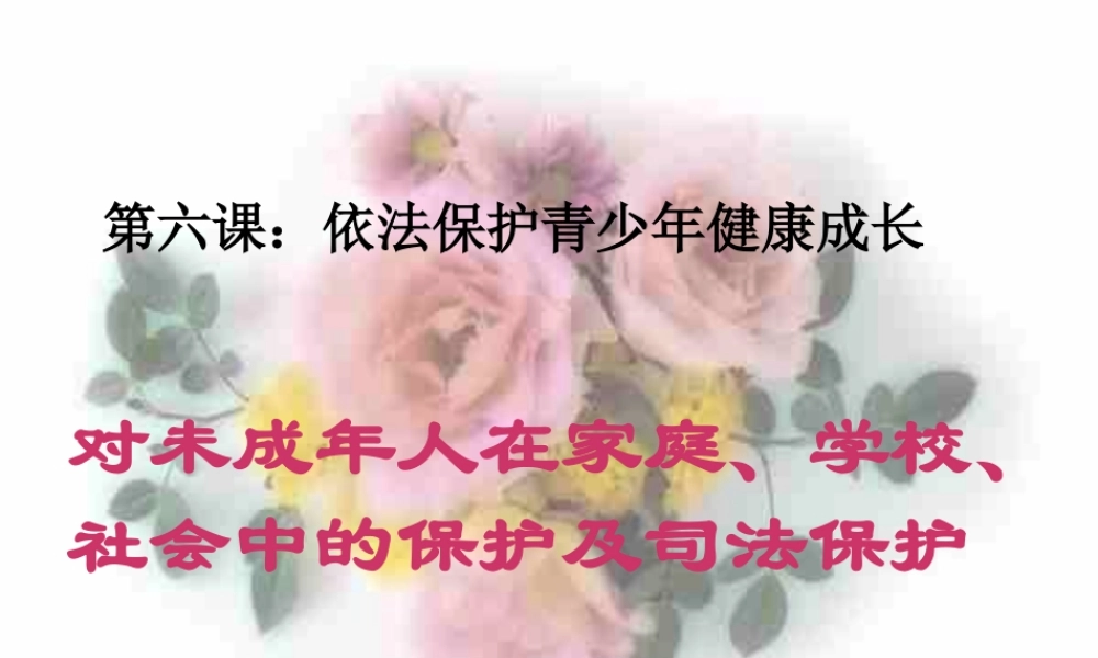 保护青少年的健康成长.ppt