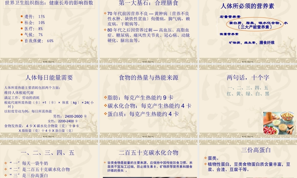 健康四大基石资料.pptx