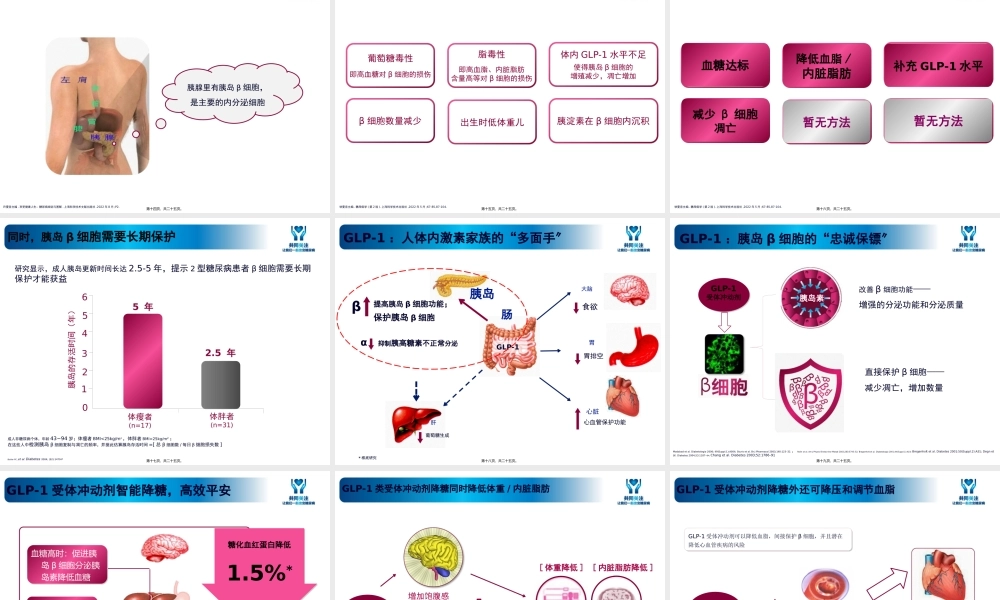 健康新7点之B细胞.pptx