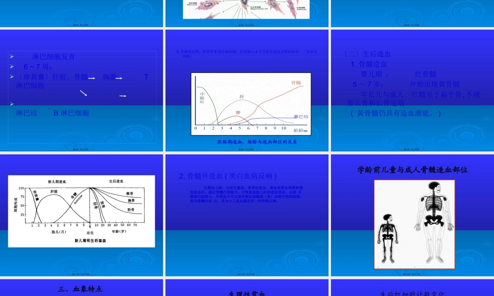 儿童造血及血象特点.pptx