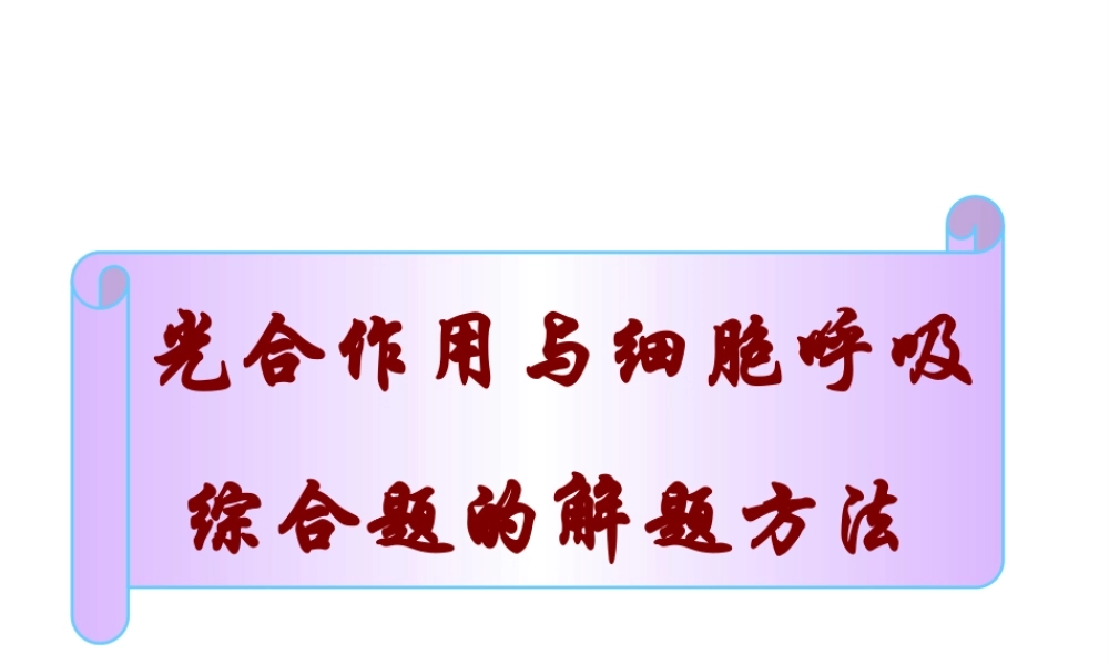 光合作用与细胞呼吸综合题的解题方法.pptx