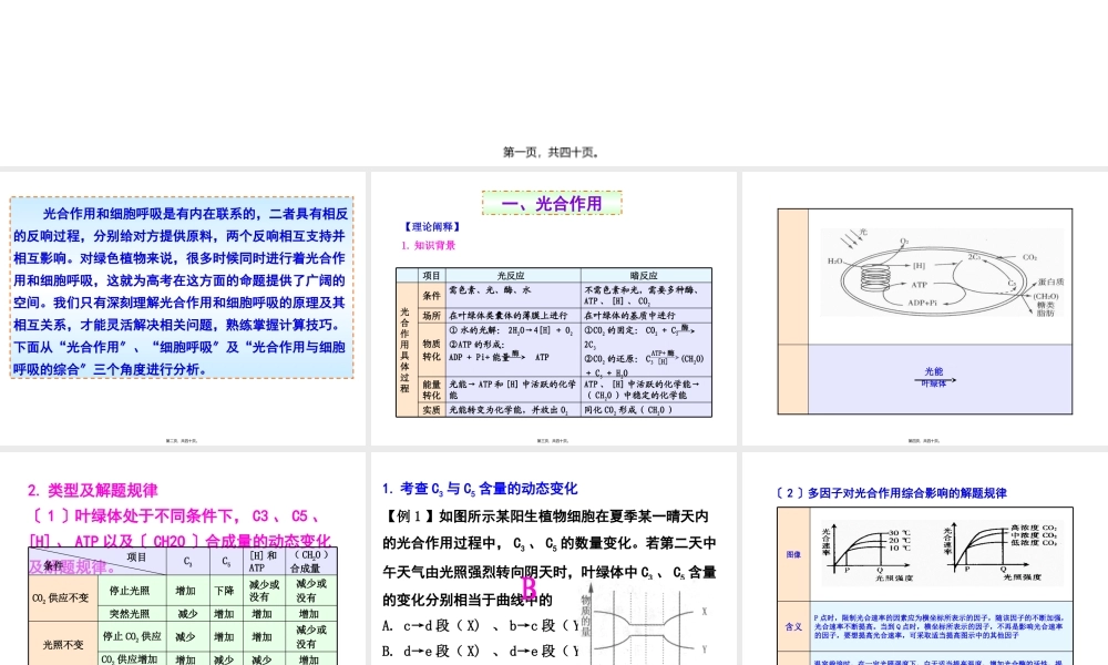 光合作用与细胞呼吸综合题的解题方法.pptx