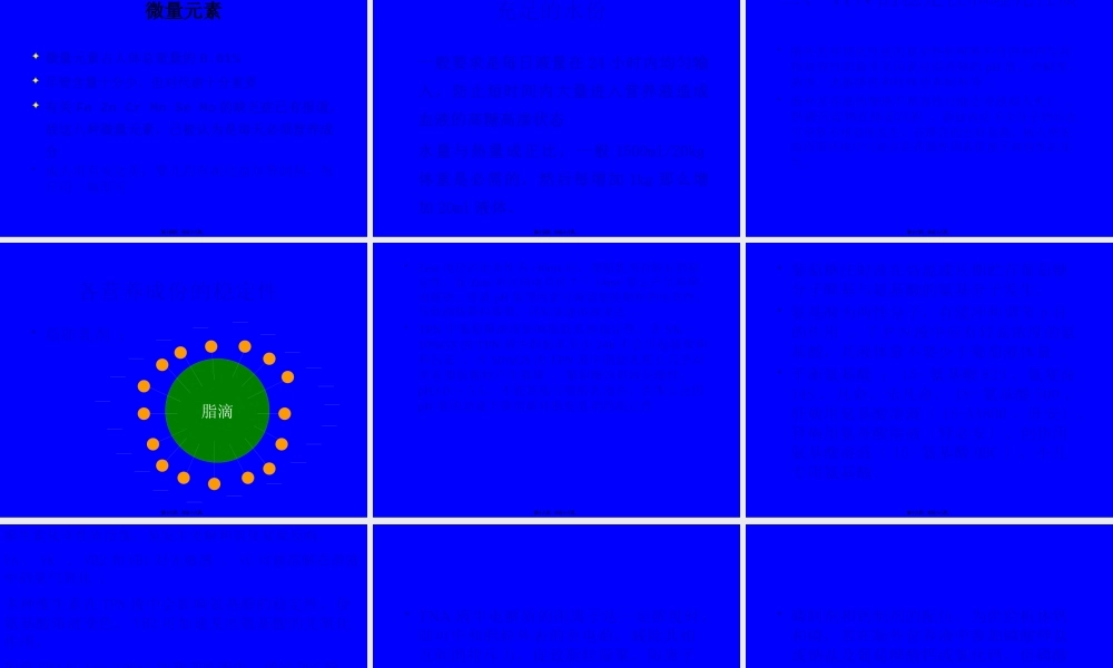 全肠外营养液的配方和.pptx