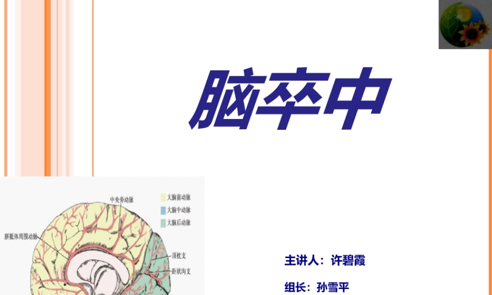 全面认识脑卒中.ppt