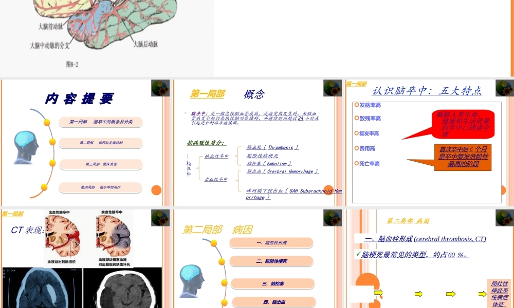 全面认识脑卒中.ppt