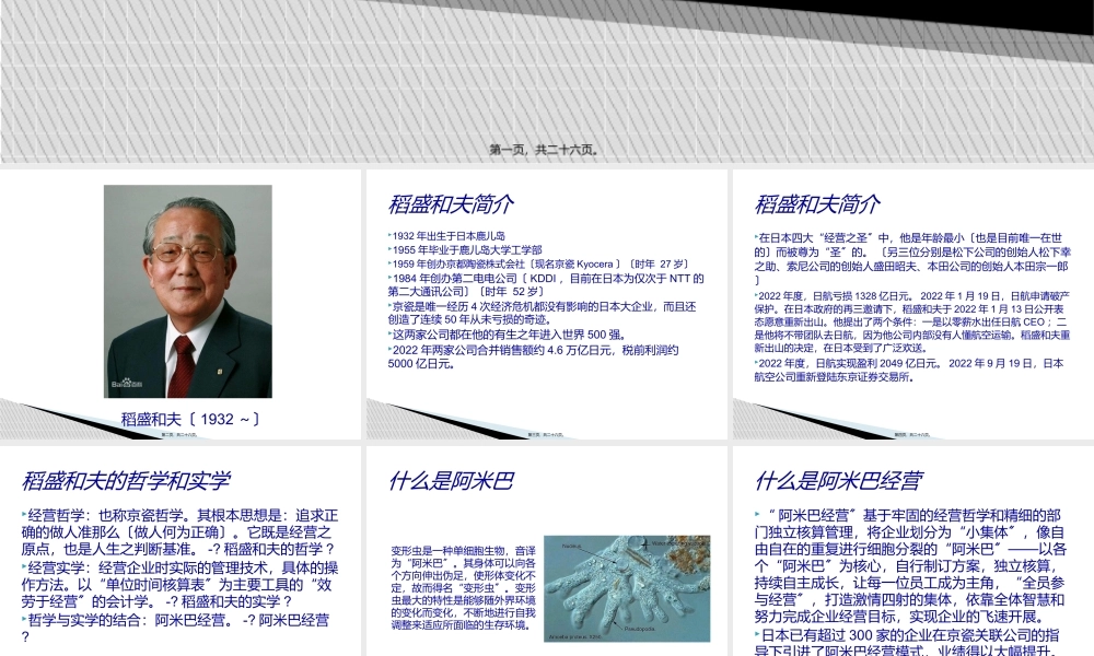 公立医院与阿米巴经营.ppt