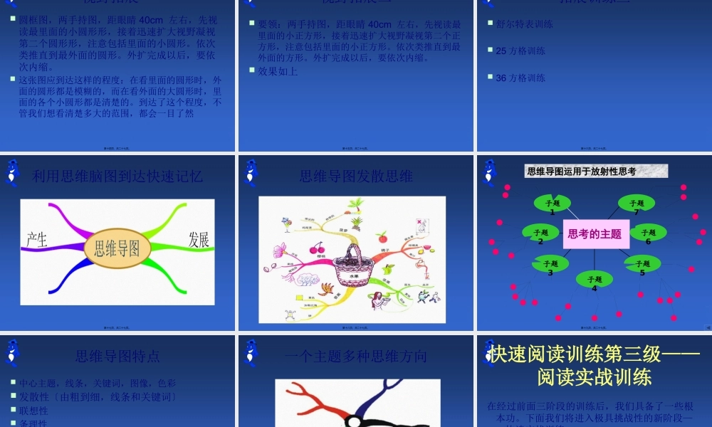 全脑速读简约版(公开课)..pptx
