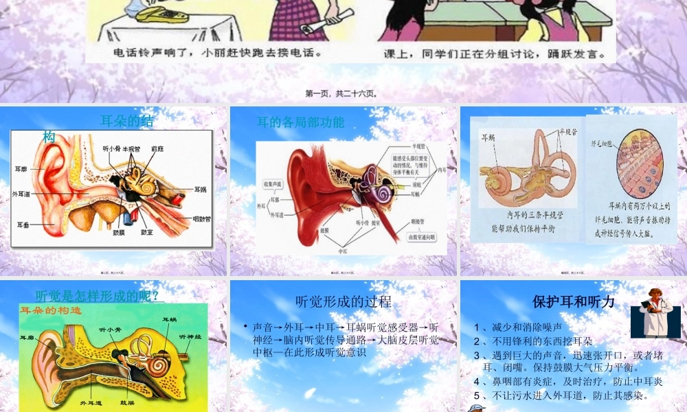 关于耳朵-(2).pptx