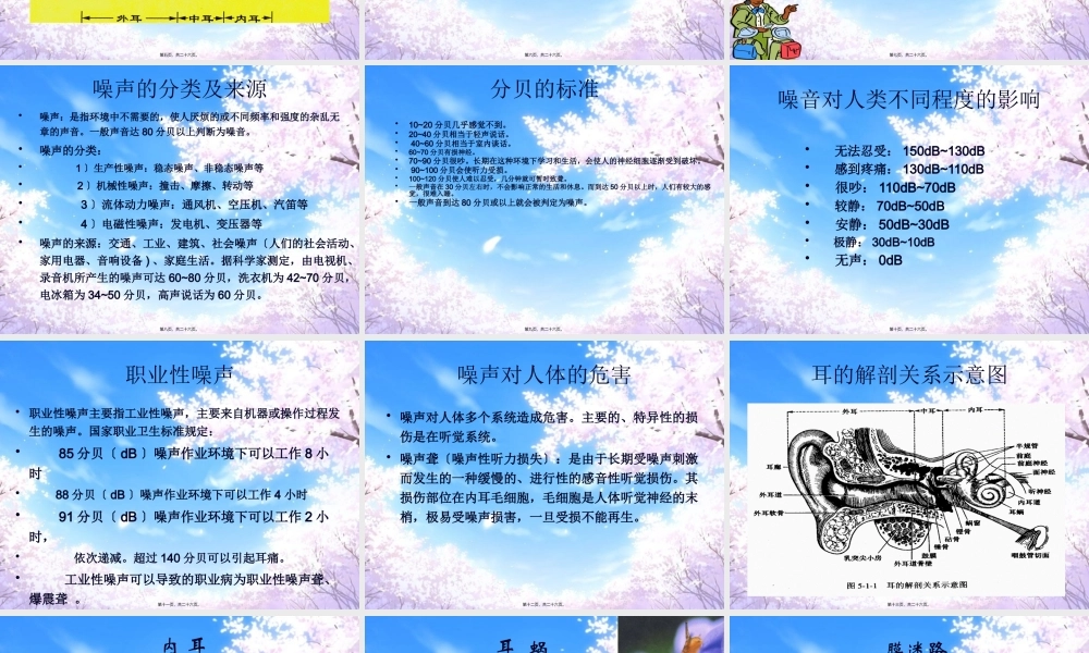 关于耳朵-(2).pptx