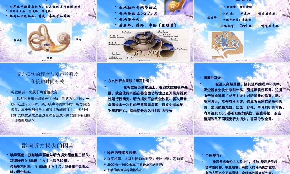 关于耳朵-(2).pptx