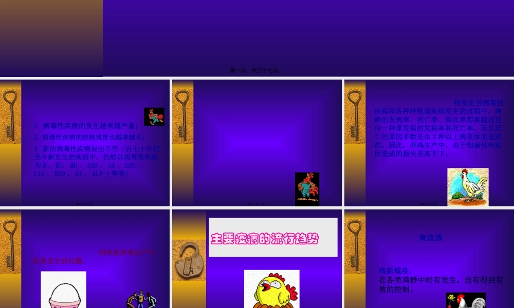 养鸡生产中疫病发生状况.pptx