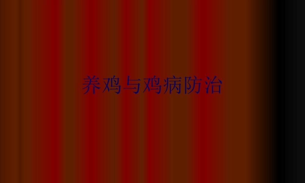 养鸡与鸡病防治演讲稿.ppt.pptx