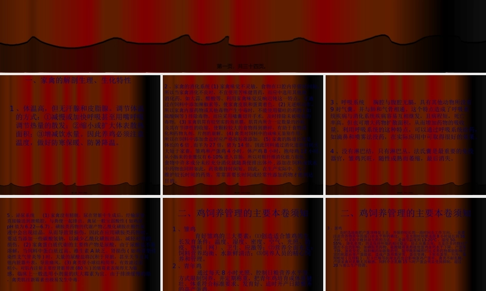 养鸡与鸡病防治演讲稿.ppt.pptx