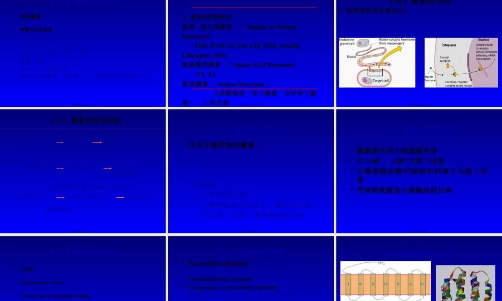 内分泌总论2008.5(口腔).pptx