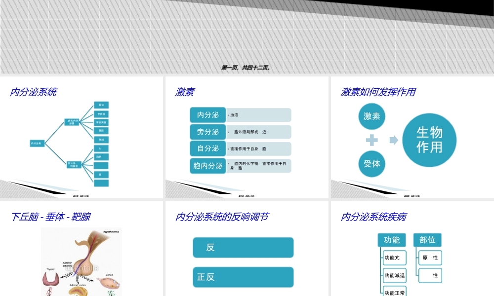 内分泌科功能试验.ppt
