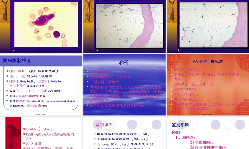 再生障碍性贫血(新).pptx