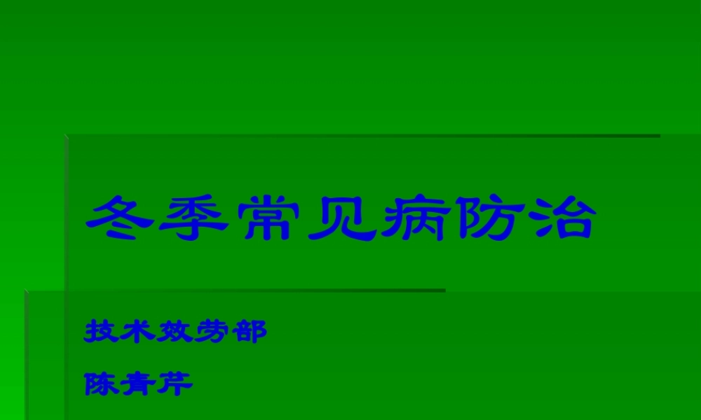 冬季常见禽病防治.pptx