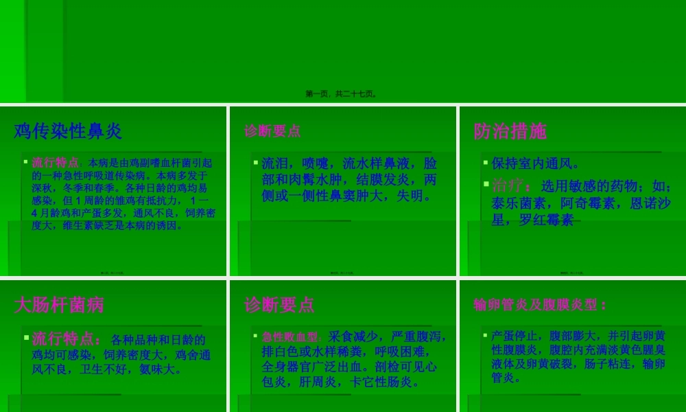 冬季常见禽病防治.pptx