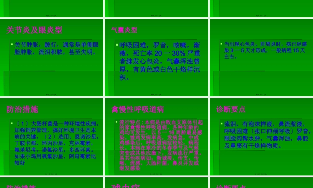 冬季常见禽病防治.pptx