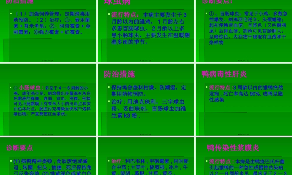 冬季常见禽病防治.pptx