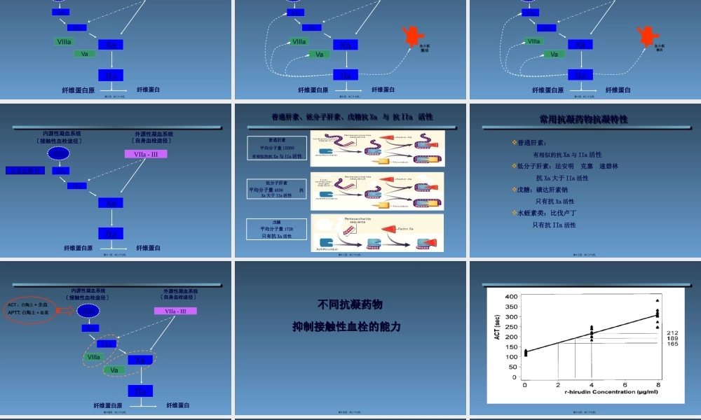凝血机制新认识.pptx