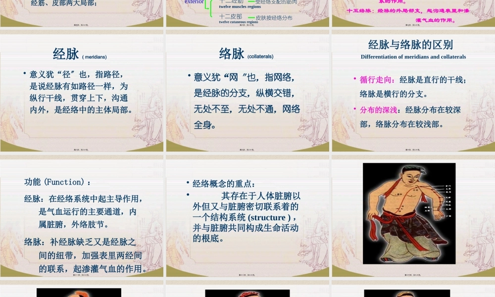 冲脉-四川大学.pptx