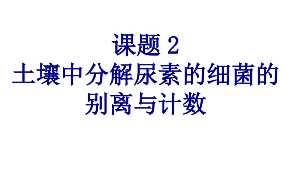 分解尿素的细菌的分离...pptx