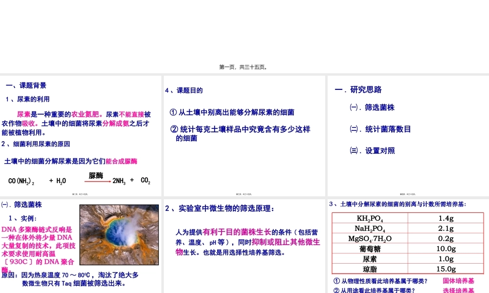 分解尿素的细菌的分离...pptx