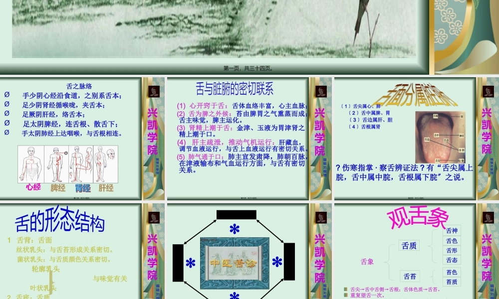 刘教授教你舌诊.pptx