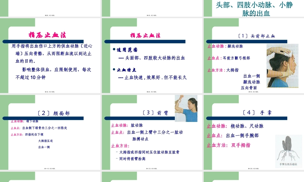 创伤急救——止血、包扎.pptx