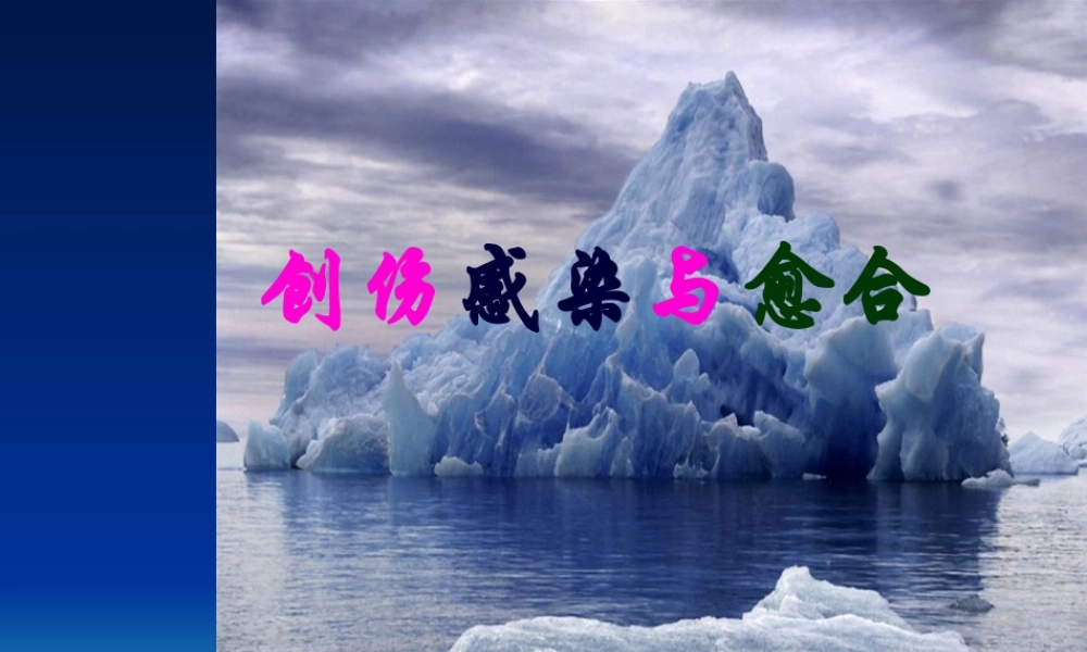 创伤感染与愈合.pptx