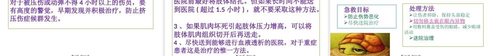 创伤的识别及处理.pptx