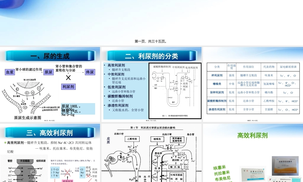 利尿剂概述.pptx