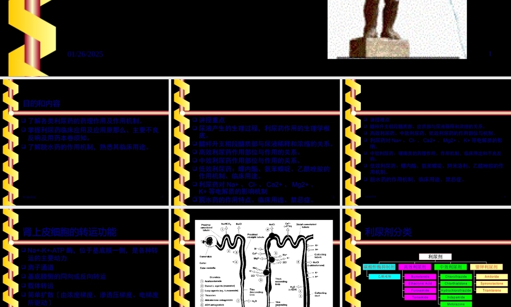 利尿药药理.pptx