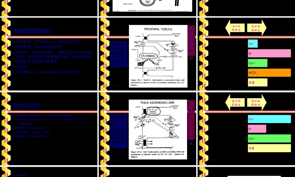 利尿药药理.pptx