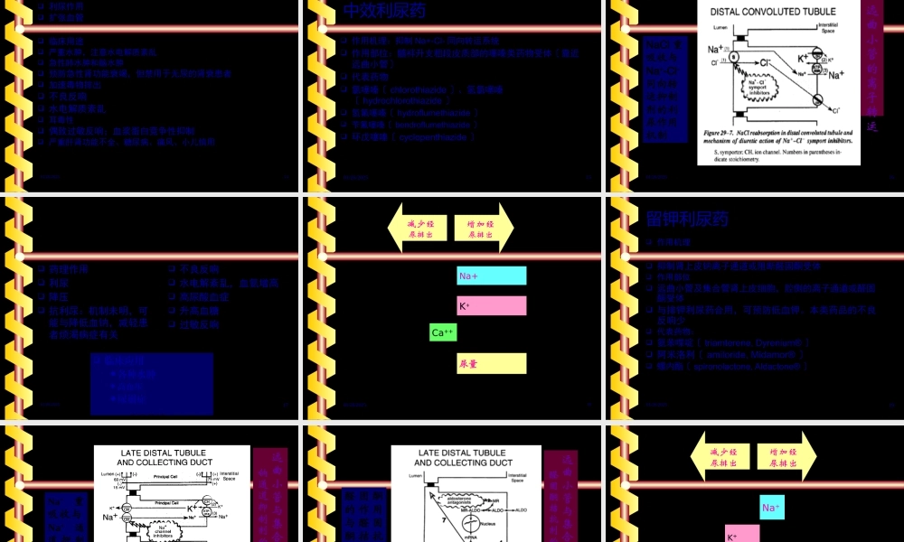 利尿药药理.pptx