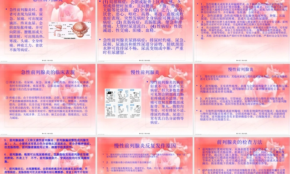 前列腺与生命的关系.pptx