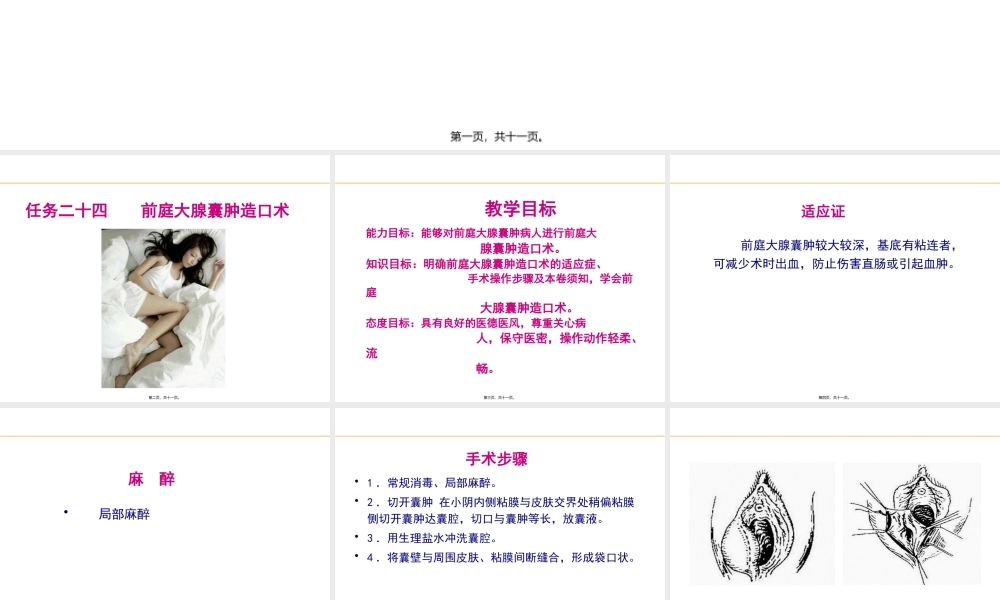 前庭大腺囊肿造口术.pptx