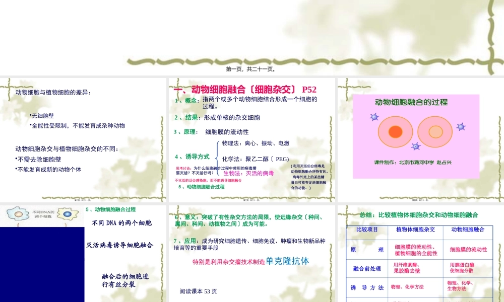 动物细胞融合与单克隆抗体(共20张PPT)..pptx