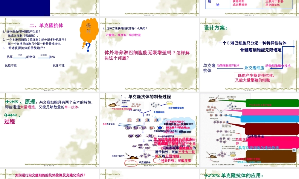 动物细胞融合与单克隆抗体(共20张PPT)..pptx