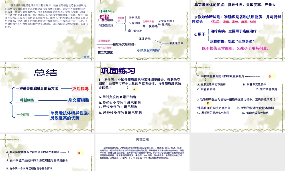 动物细胞融合与单克隆抗体(共20张PPT)..pptx