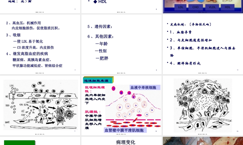 动脉粥样硬化.pptx