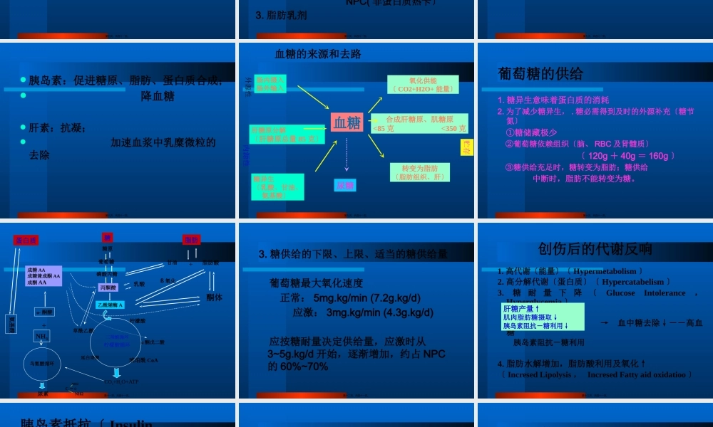 危重患者营养支持.pptx