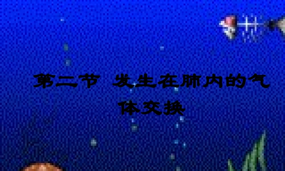 发生在肺内的气体交换.pptx