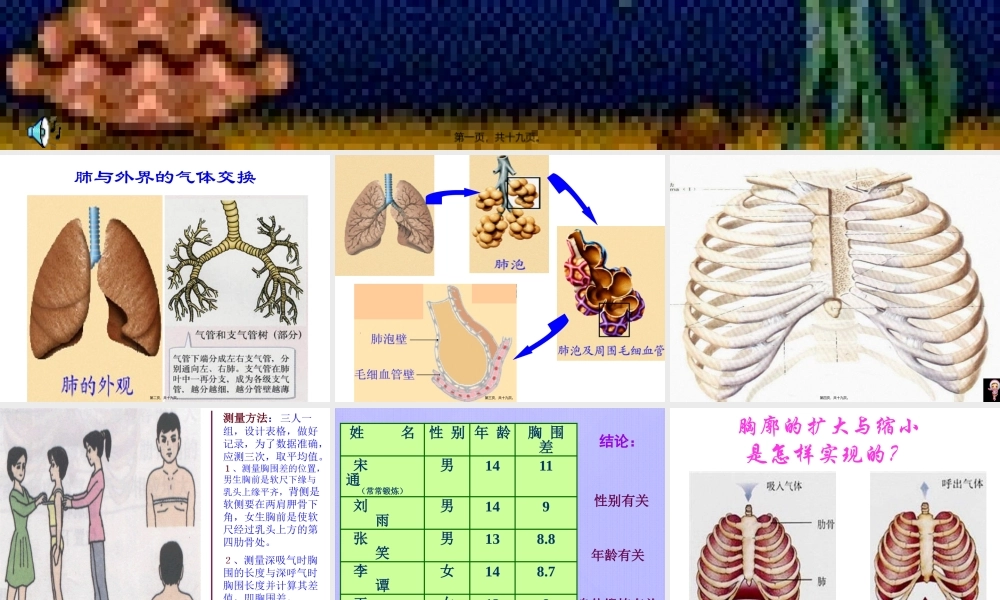 发生在肺内的气体交换.pptx