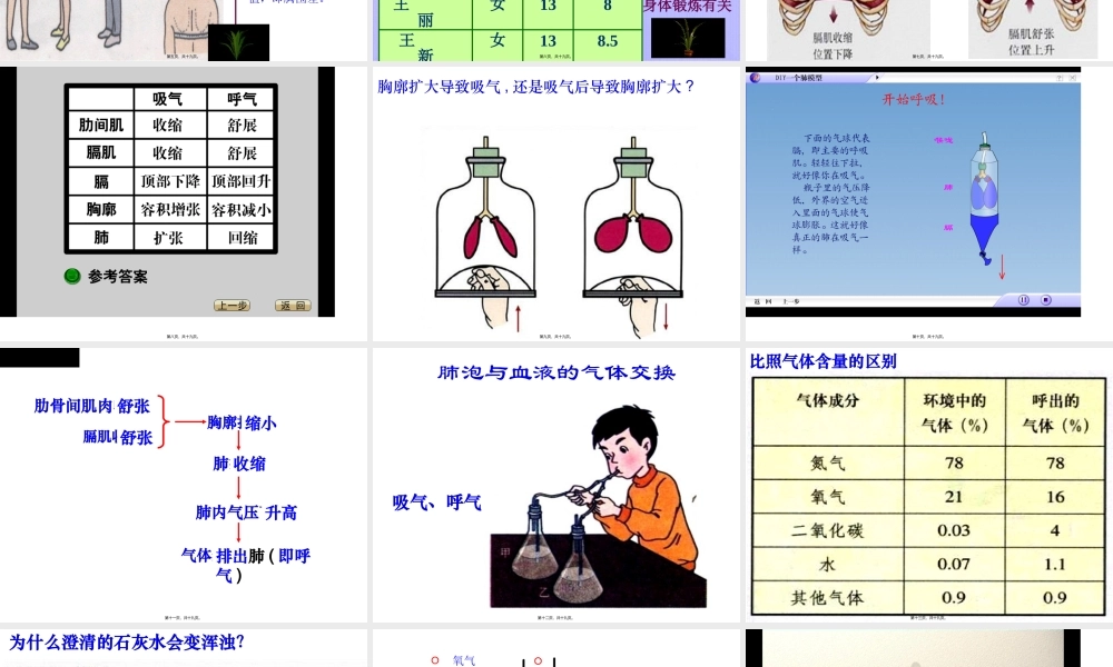 发生在肺内的气体交换.pptx